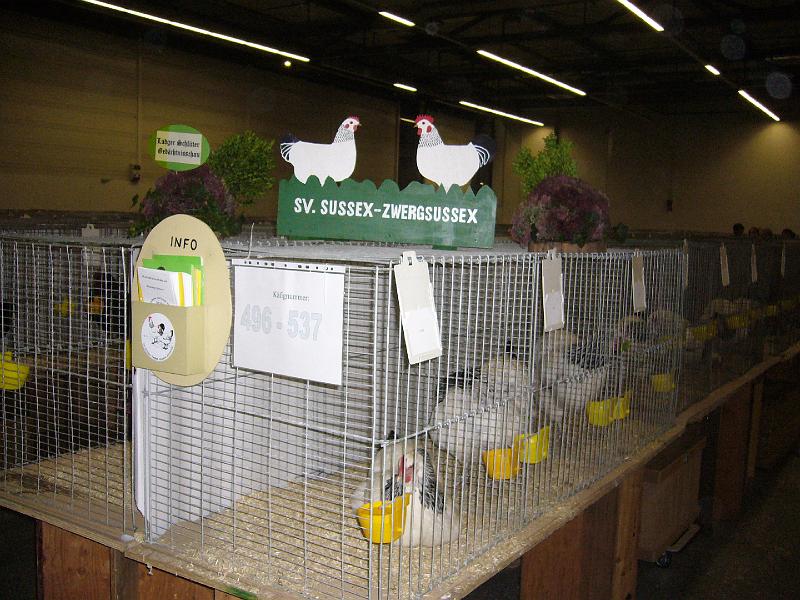 Munster 2009 Donnerstag 008.jpg